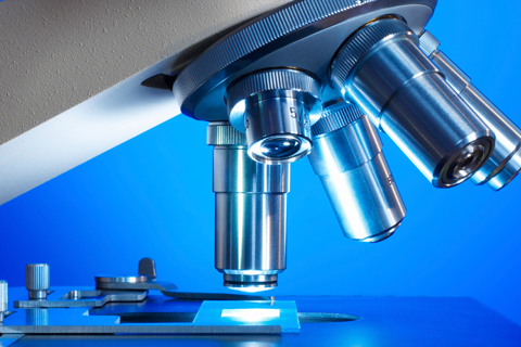 Phenelzine-d4 Sulfate 25mg