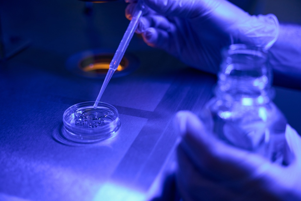 Serotonin-alpha,alpha,beta,beta-D? Creatinine Sulfate Complex H?O 1mg