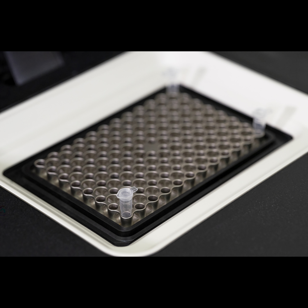 NucleoType Mouse PCR (100)