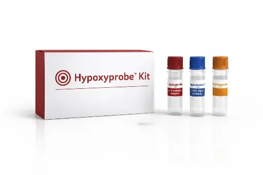 [HP1-100Kit] Hypoxyprobe Kit (Rat Mab)
